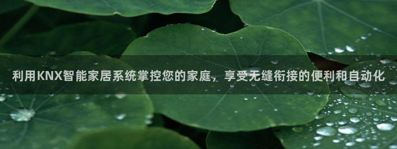 ug环球官网