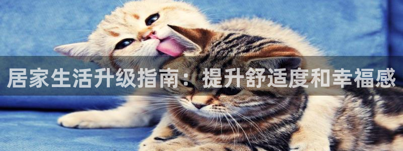 UG环球官方网
