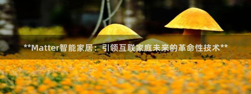 ug环球代理加盟