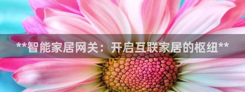 ug环球在线开户
