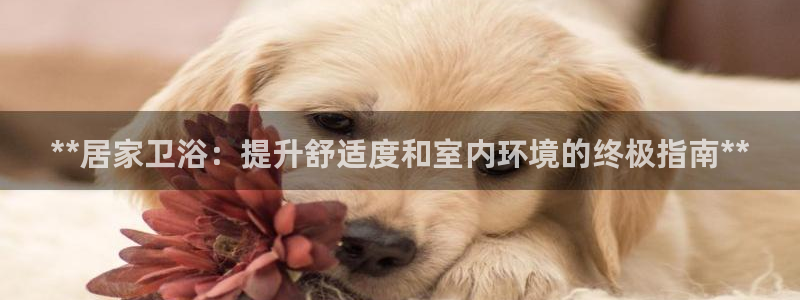 ug环球xkk908搜徽