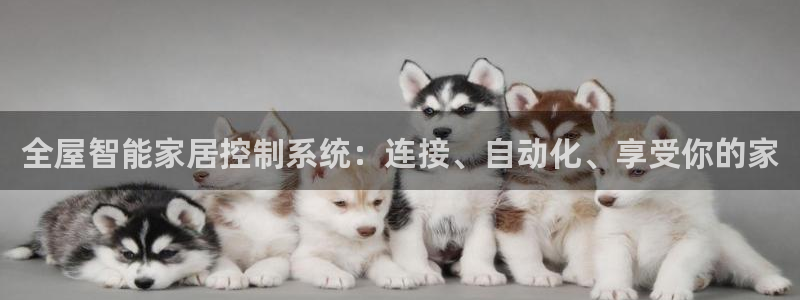 环球ug包杀网
