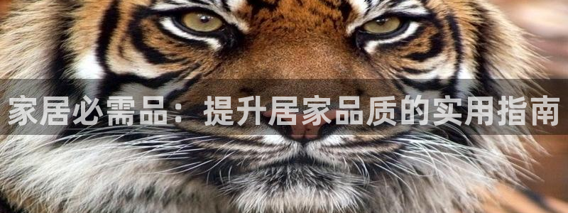 ug环球正网一比一