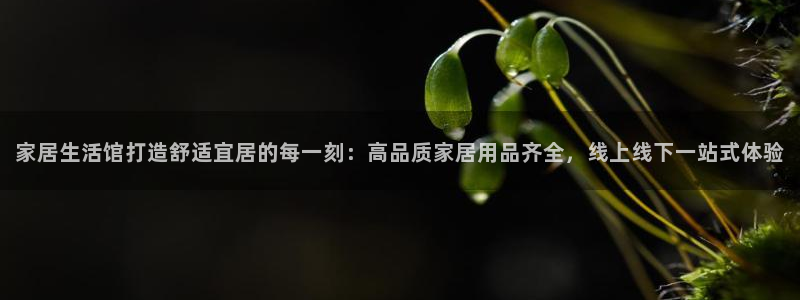 ug环球买代理