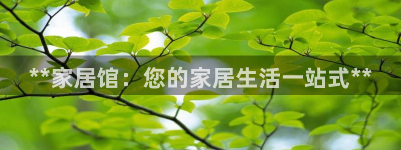 环球ug登录网站app