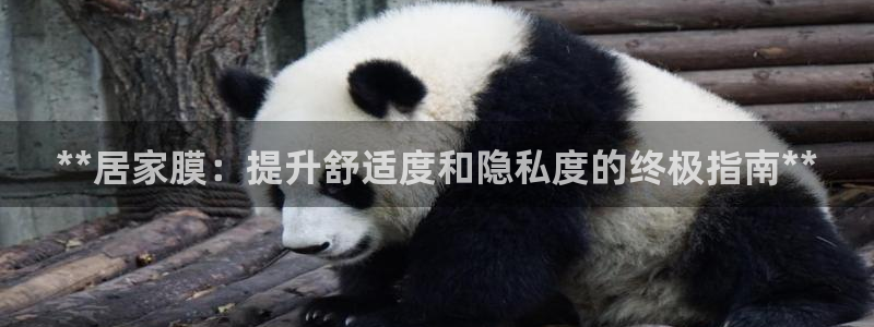 ug环球会员官方客服电话