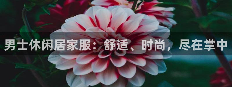 UG环球会员官方