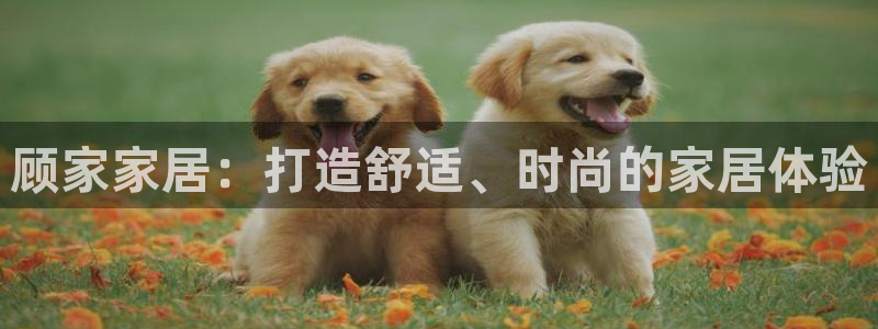 ug环球找唯xkk 908