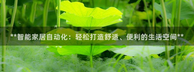 ug环球代理加盟