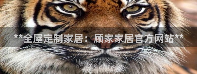 ug环球视讯手机版官网