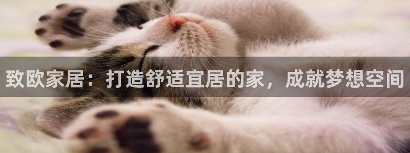 ug环球官网会员登录