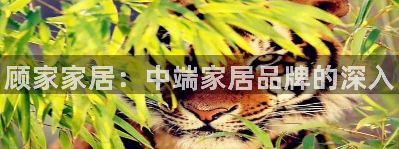 环球ug包杀网