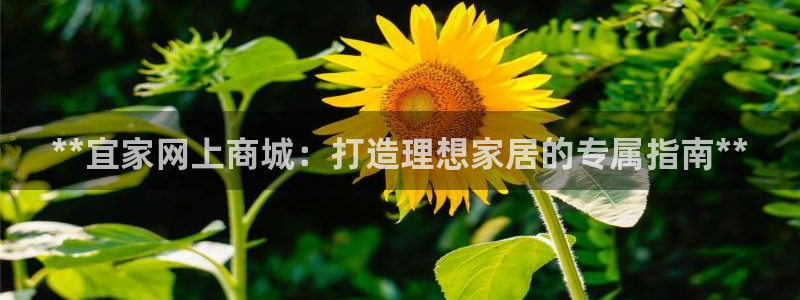 UG环球假网合作