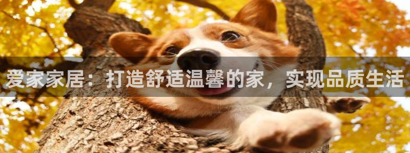ug环球真假