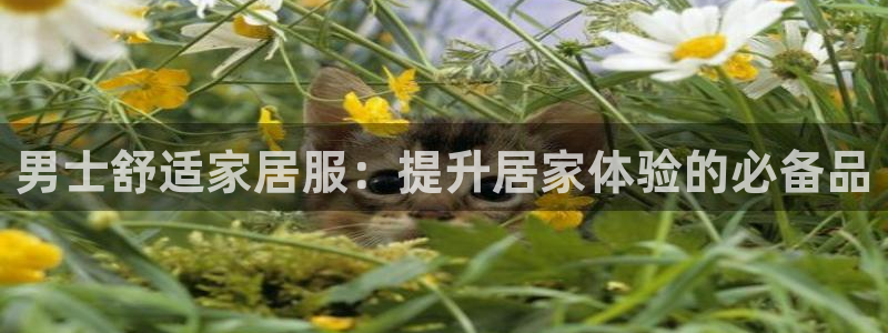 ug环球包杀网一比一