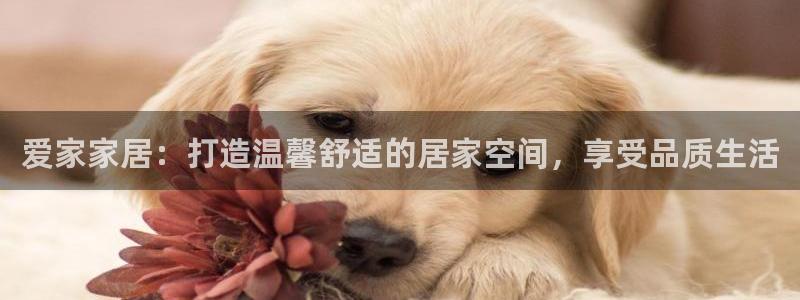 ug环球官网注册