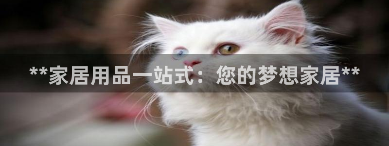 ug环球游戏网站官网