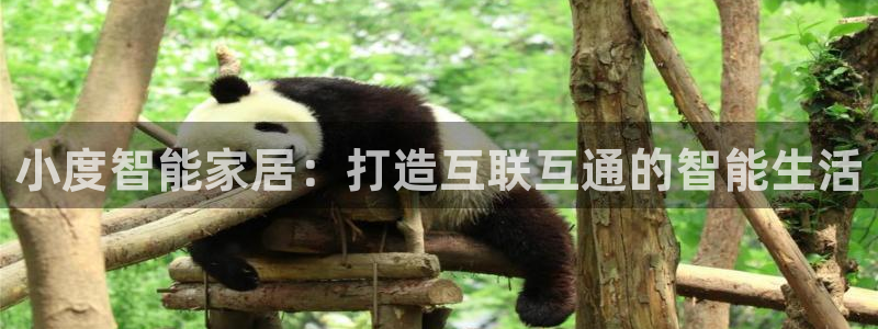 ug环球正网