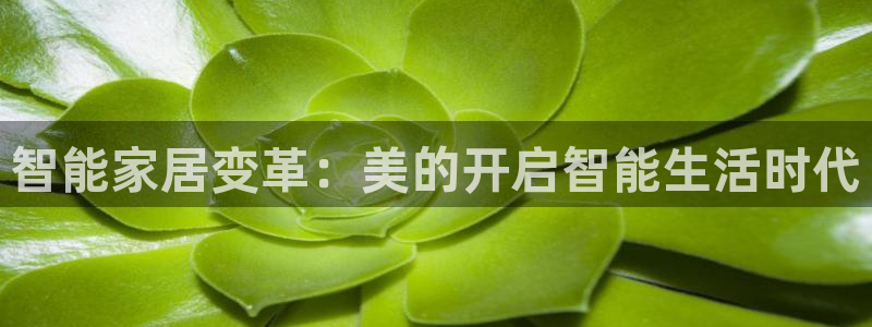 ug环球正网包杀