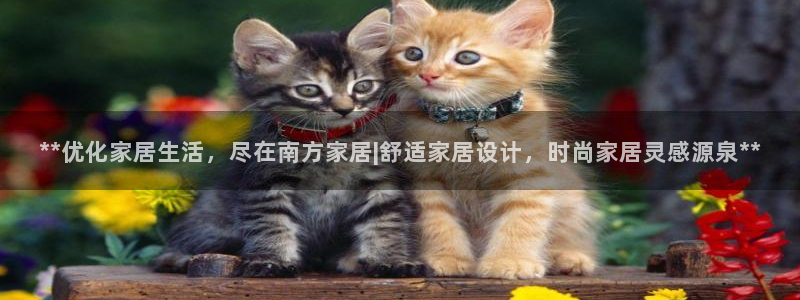 UG环球视讯官网