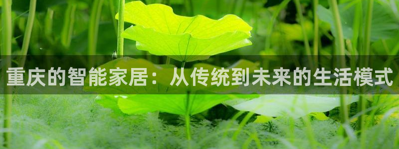 ug环球视讯官网