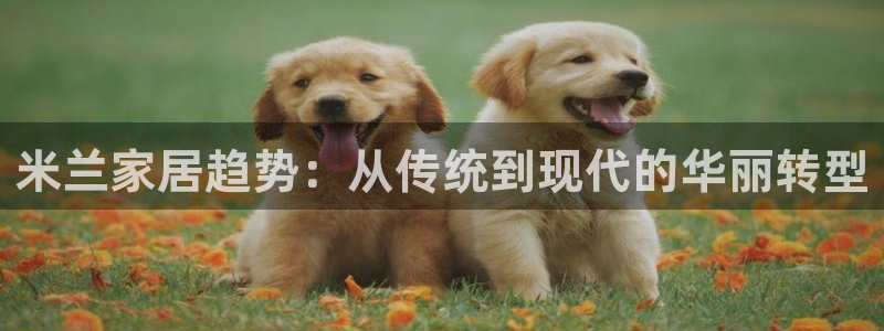 ug环球正网开户