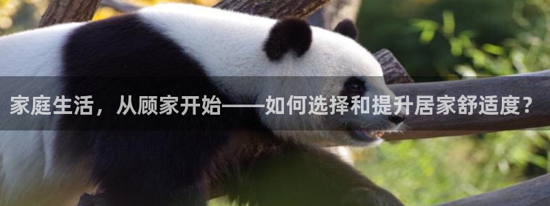 ug环球代理