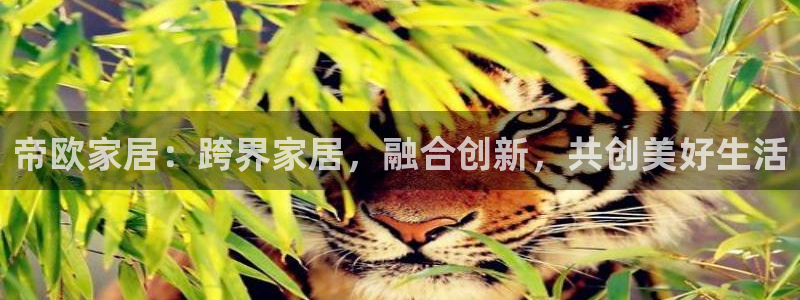 ug环球好假