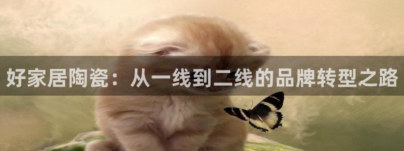 UG环球代理