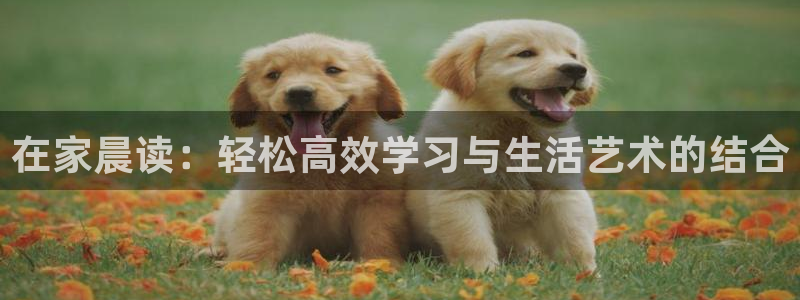 ug环球凯发