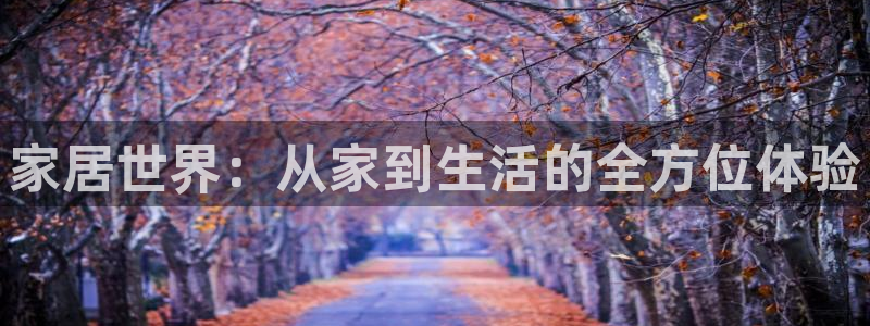 UG环球国际在线