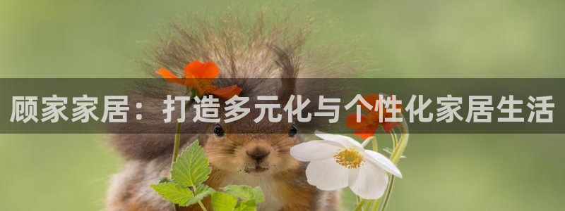 UG环球代理