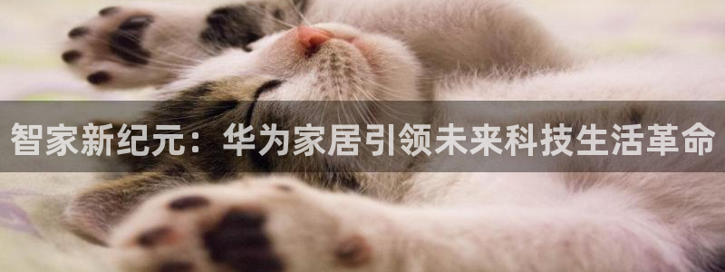 ug环球视讯官网网址
