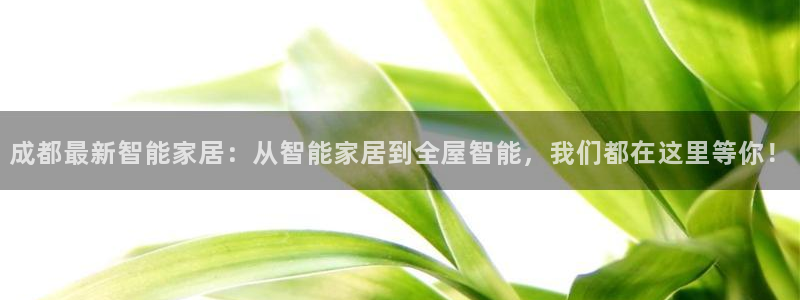 ug环球视讯延时软件