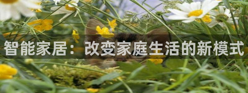 ug环球官网注册会员