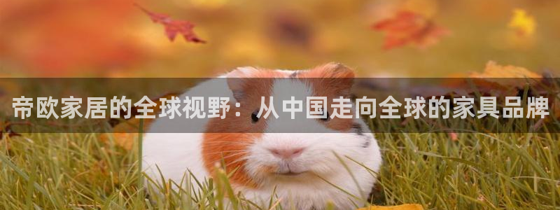 ug环球官网会员注册