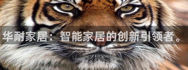 环球ug官网代理