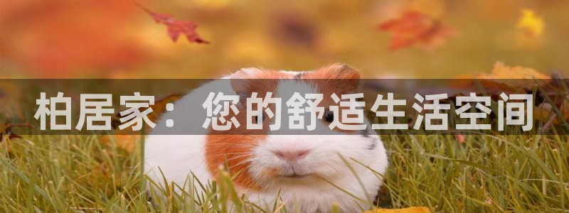 UG环球一比一包杀威agkk19在