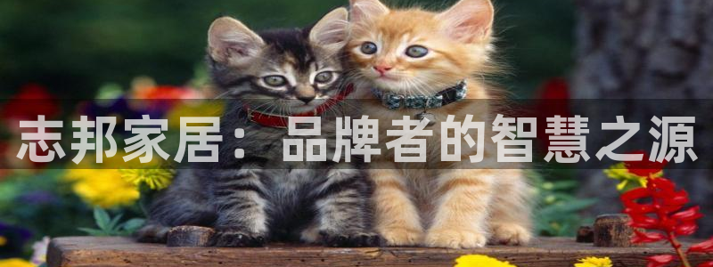 ug环球视讯官网网址