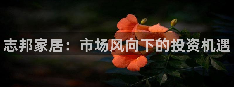 ug环球官网会员注册