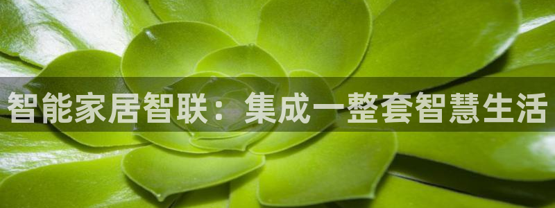 ug环球代理合作