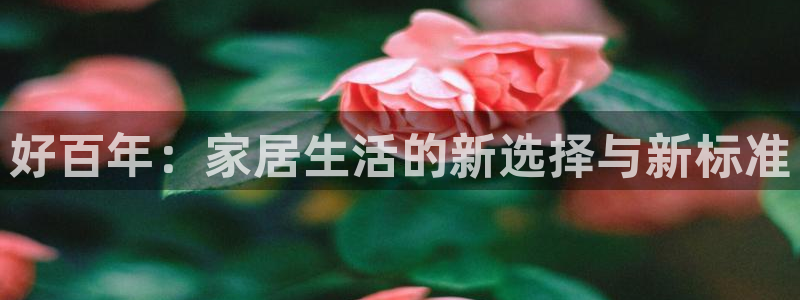 ug环球假网一比一