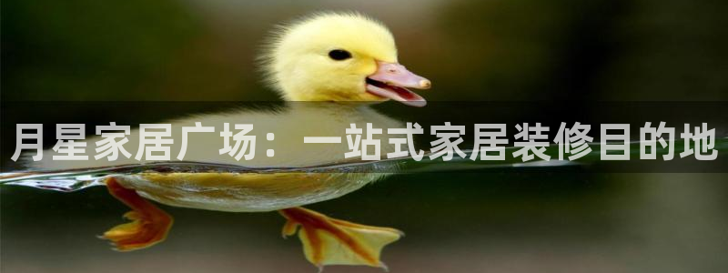 ug环球会员充值