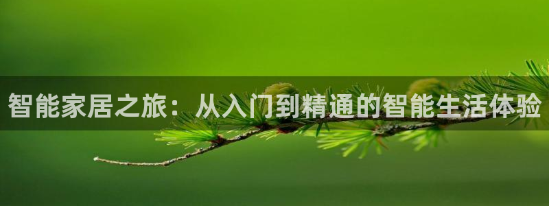 ug环球官网在线