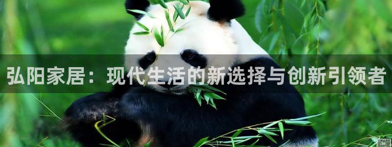 ug环球会员注册登录