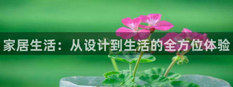 UG环球假网一比一包杀网