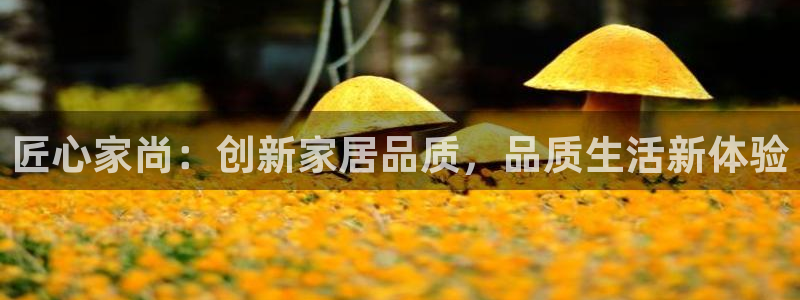 ug环球官网环球360